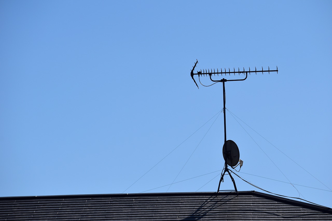 AdobeStock_1229564470